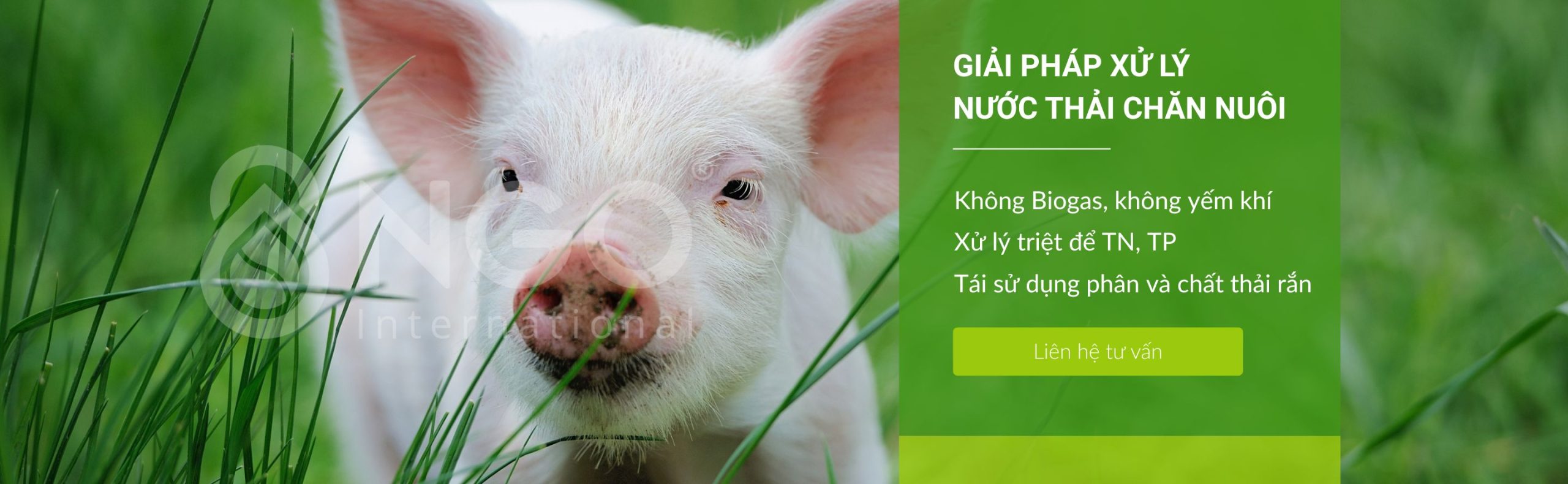 GIẢI PHÁP XỬ LÝ NƯỚC THẢI CHĂN NUÔI BẰNG CÔNG NGHỆ MỚI GIẢI PHÁP XỬ LÝ NƯỚC THẢI CHĂN NUÔI BẰNG CÔNG NGHỆ MỚI