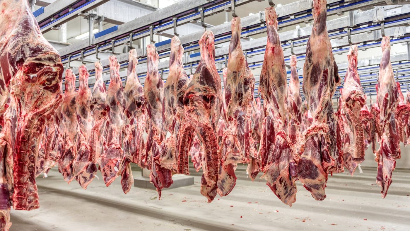 XỬ LÝ NƯỚC THẢI LÒ MỔ, CHẾ BIẾN THỊT GIA SÚC, GIA CẦM lo mo