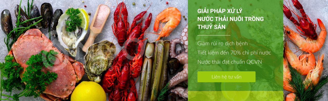 GIẢI PHÁP XỬ LÝ NƯỚC THẢI NUÔI TRỒNG THUỶ SẢN GIẢI PHÁP XỬ LÝ NƯỚC THẢI NUÔI TRỒNG THUỶ SẢN