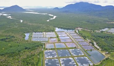 TÁI TUẦN HOÀN - XU HƯỚNG TẤT YẾU TRONG XỬ LÝ NƯỚC THẢI NUÔI TRỒNG THUỶ HẢI SẢN nuoc-thai-nganh-moi-truong-thuy-san-1