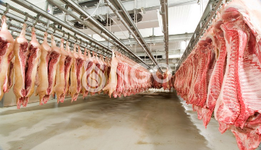 SOLUTIONS TO TREATMENT OF WASTEWATER FROM SLAUGHTER giet-mo-logo