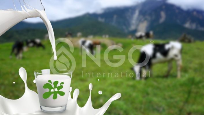 GIẢI PHÁP XỬ LÝ NƯỚC THẢI NGÀNH SỮA